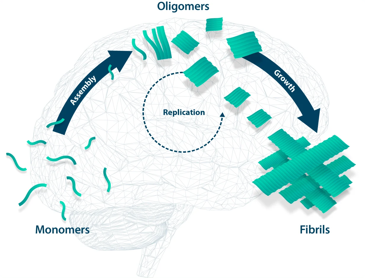 Priavoid Targets Priavoid Targets
